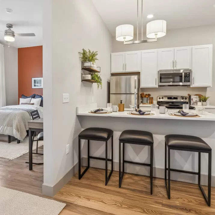 Fully furnished, modern student apartment living room